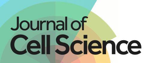 Journal of Cell Science
